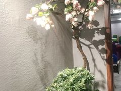 -天天鱼港·海鲜·鲅鱼水饺·招牌烤鸭(黄骅店)