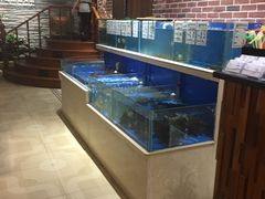 -姜君·千岛湖鱼头馆(浦东大道店)