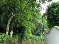 -湖南大学-中国书院博物馆