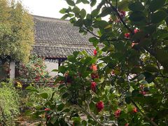 -天一阁博物院