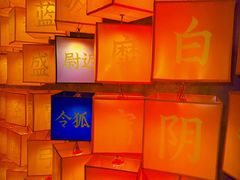 -龙湾潭国家森林公园