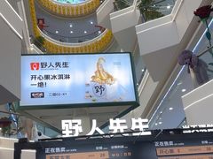 -野人先生Gelato(上海长宁龙之梦店)