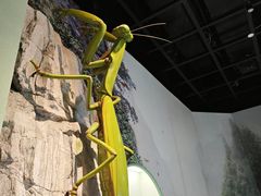-常州博物馆