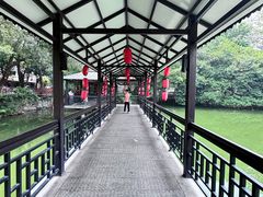 -侨美·唐荔园·40年地道粤菜