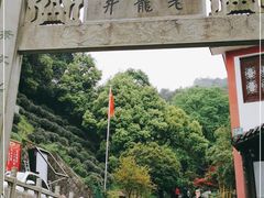 -十八棵（老龙井）御茶园(老龙井店)