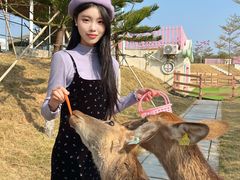 -盈香心动乐园