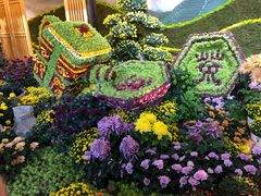 -杭州植物园