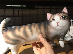 -猫咪博物馆(顶澳仔猫街店)