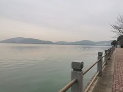 -无锡蠡湖国家湿地公园-蠡园