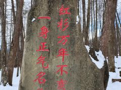 -硗碛藏寨·神木垒景区