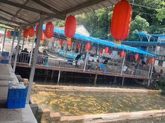 -青龙潭鱼庄