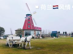 -南通鲜花小镇
