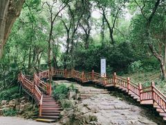 -采石矶景区