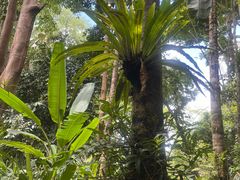 -中国科学院西双版纳热带植物园