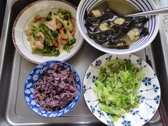 -田螺阿姨自营月嫂·育儿嫂(高新店)