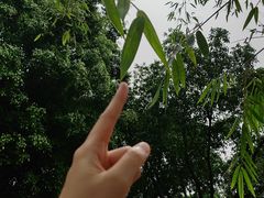 -晓港公园