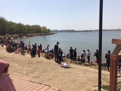 -丁香湖公园
