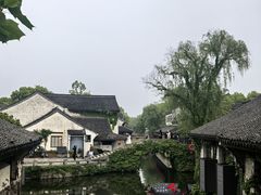 -鲁镇
