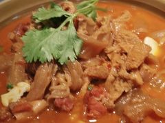 -洞庭家宴·头牌甲鱼(广渠门店)