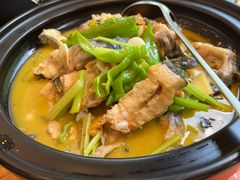 -饭怕鱼(阳光100店)