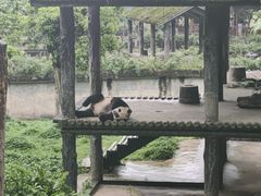 -碧峰峡风景区
