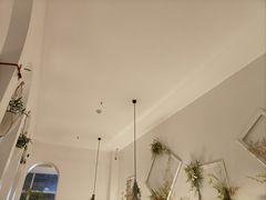 -春树下·树屋花房西餐厅(罍街AS1980店)