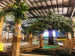 -南宫温泉水世界