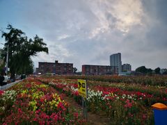 -东北农业大学饺子园