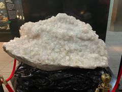 -烟台自然博物馆