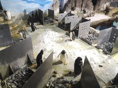 -成都浩海立方海洋公园