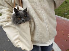 -关爱动物医院·心脏·中兽医·异宠(金牛路分院)