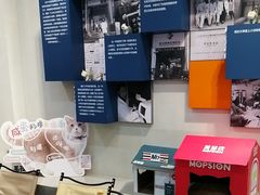 -伟伟宠物医院·CT影像中心·瑞派犬猫综合性门诊(汉口总院)