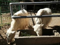 -长白岛森林公园