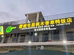 -霞姐屯昌枫木香草鸭店(海螺店)