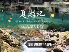 -紫云谷景区
