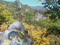 -五女峰国家森林公园