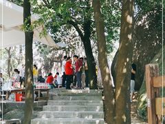 -火炉山森林公园