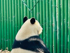 -沈阳森林动物园
