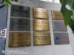 -北京精诚实验小学