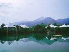 -帐篷客·溪龙茶谷度假酒店