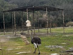 -宁波野生动物园