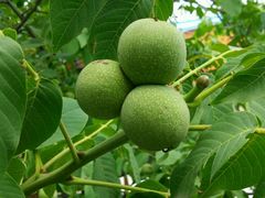 -水韵湾生态农庄