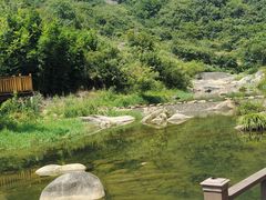 -武汉姚家山旅游景区