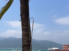 -海南分界洲岛旅游区