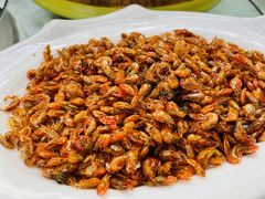 -山菌美食苑(振兴路店)