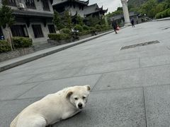 -阿育王寺