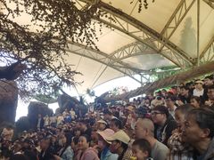 -南戴河国际娱乐中心