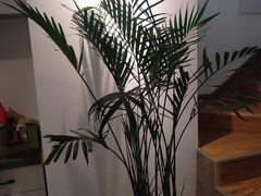 -视野联行眼镜(西站中天健广场店)