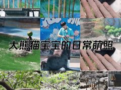 -杭州动物园
