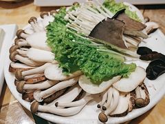 -清真军邺·金富苑肥牛(石坡街旗舰店)